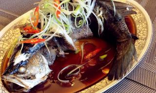 清蒸桂鱼的做法视频 第一名厨清蒸桂鱼的做法